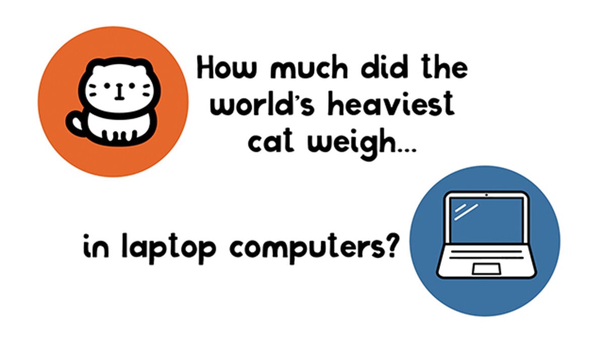 Size Wise image number null